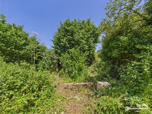 Garden- click for photo gallery